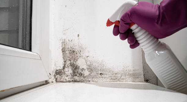 Best 24-hour water damage restoration  in Madison, WI